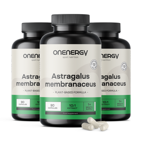3x Astragalus – izvleček 10:1, skupaj 270 kapsul