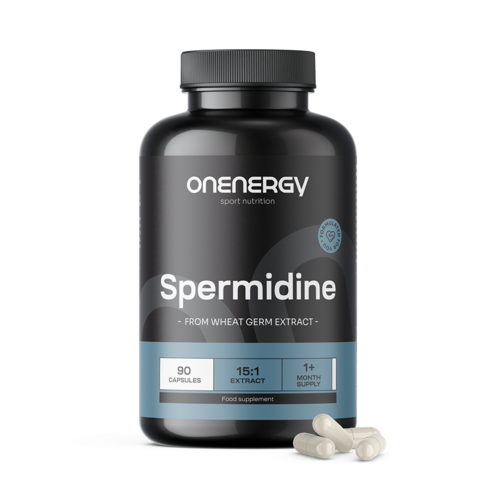 Spermidin – iz izvlečka pšeničnih kalčkov, 90 kapsul